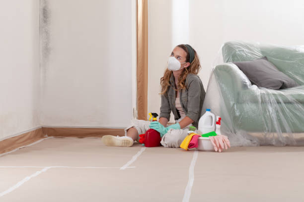 Trusted Black Mold Removal service in New Bloomfield, PA - WQB Mold Removal